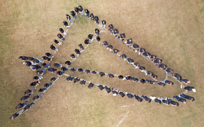 March 2026 Newsletter